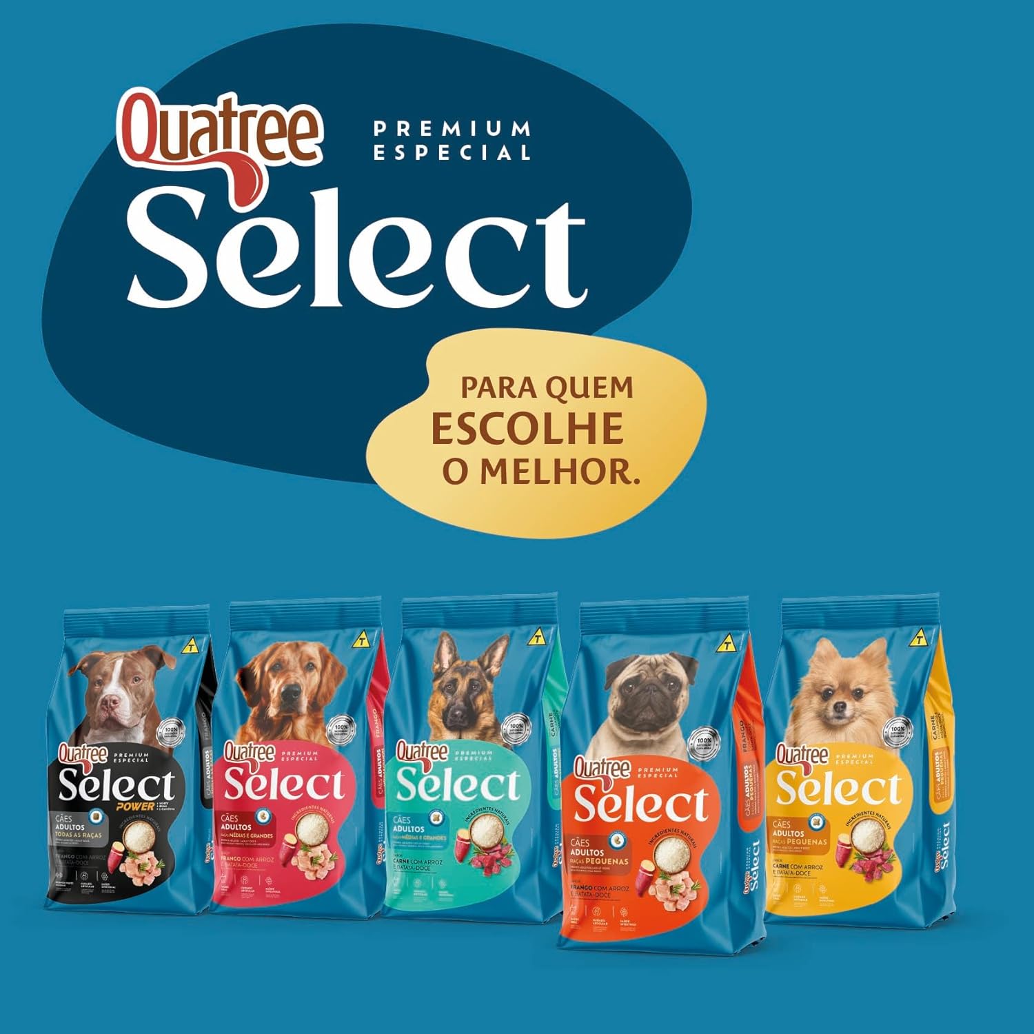 Quatree Select – Cão – Adulto – Porte pequeno – Premium Especial – Frango com arroz e batata doce (10kg) - Imagem 9