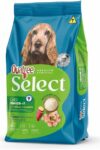 Quatree Select – Cão – Sênior 7+ Porte médio e grande – Premium Especial – Frango com arroz e batata doce (15kg)