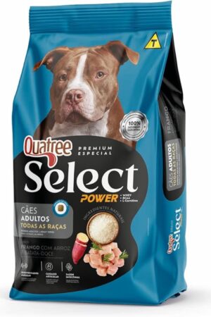 Quatree Select Power - Cão - Adulto - Premium Especial - Frango com arroz e batata doce (15kg)