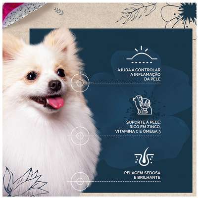 Snow Dog Flores- Adulto - Porte Pequeno - Cuidado da Pele - Flor de Rosa Mosqueta, Peixe Branco, Pitaya e Quinoa (10,1Kg) - Imagem 2