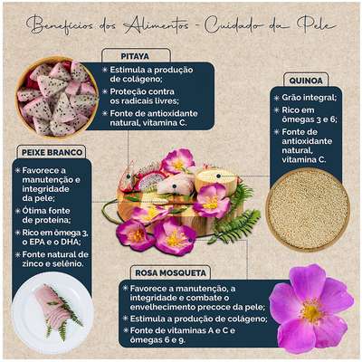 Snow Dog Flores- Adulto - Porte Pequeno - Cuidado da Pele - Flor de Rosa Mosqueta, Peixe Branco, Pitaya e Quinoa (10,1Kg) - Imagem 3