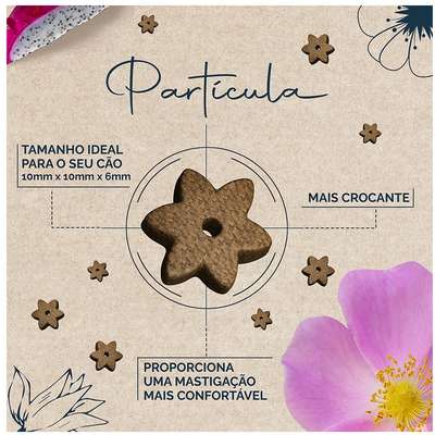 Snow Dog Flores- Adulto - Porte Pequeno - Cuidado da Pele - Flor de Rosa Mosqueta, Peixe Branco, Pitaya e Quinoa (10,1Kg) - Imagem 9